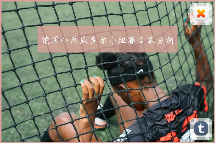 德国vs厄瓜多尔小组赛专家分析