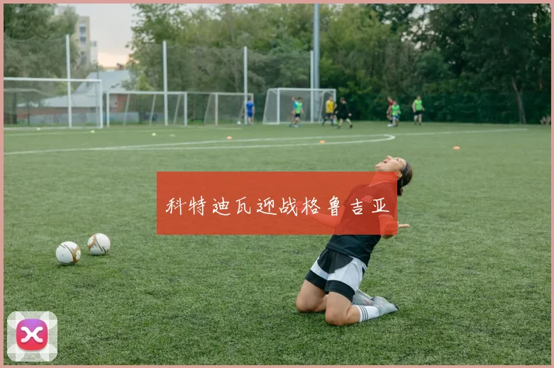 科特迪瓦迎战格鲁吉亚