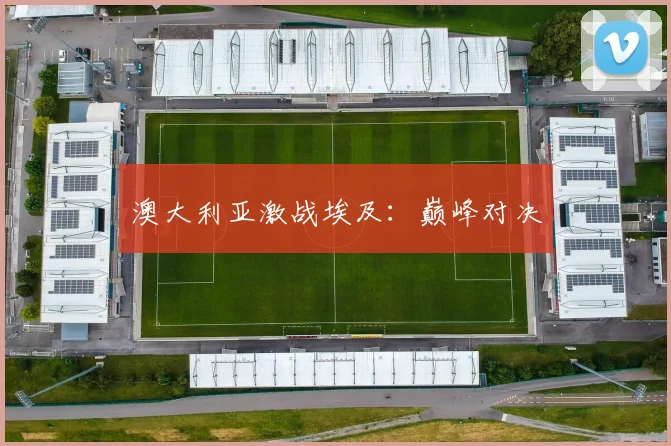 澳大利亚激战埃及：巅峰对决
