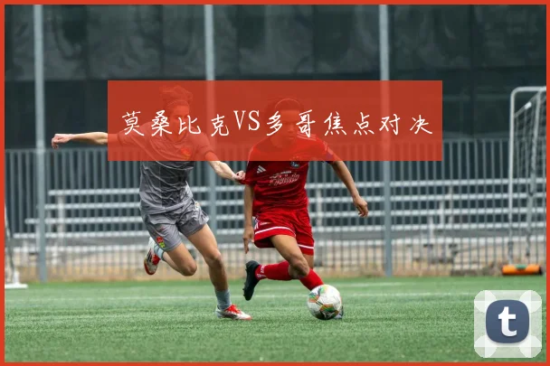 莫桑比克VS多哥焦点对决