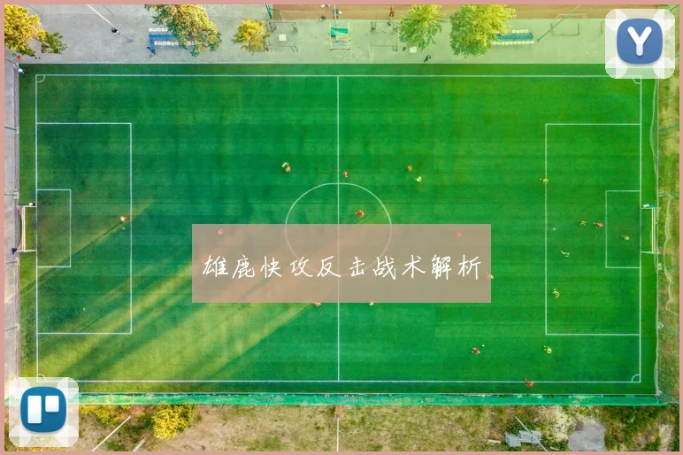 雄鹿快攻反击战术解析