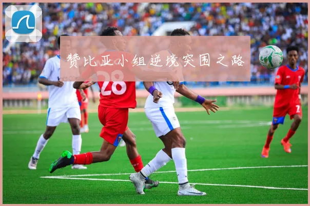 赞比亚小组逆境突围之路
