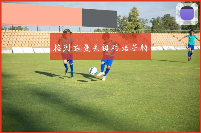 格列兹曼关键对话芒特