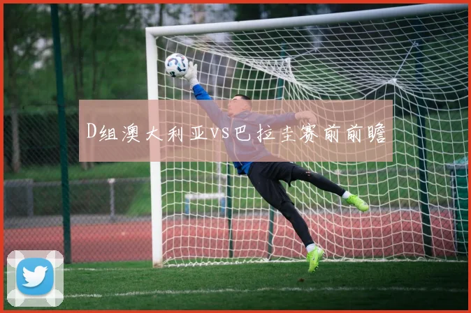 D组澳大利亚vs巴拉圭赛前前瞻