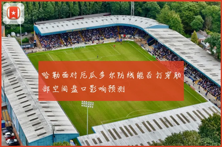 哈勒面对厄瓜多尔防线能否打穿肋部空间盘口影响预测