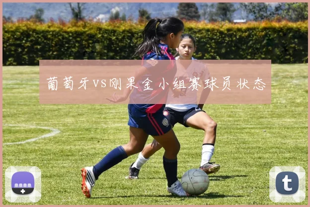 葡萄牙vs刚果金小组赛球员状态