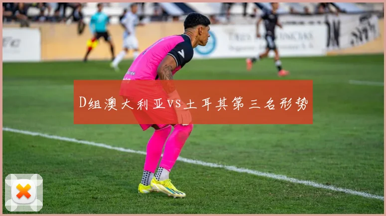 D组澳大利亚vs土耳其第三名形势