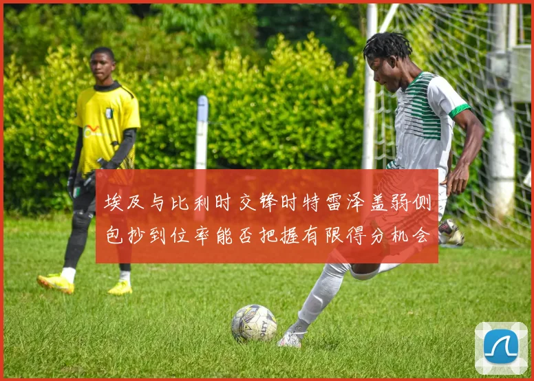 埃及与比利时交锋时特雷泽盖弱侧包抄到位率能否把握有限得分机会