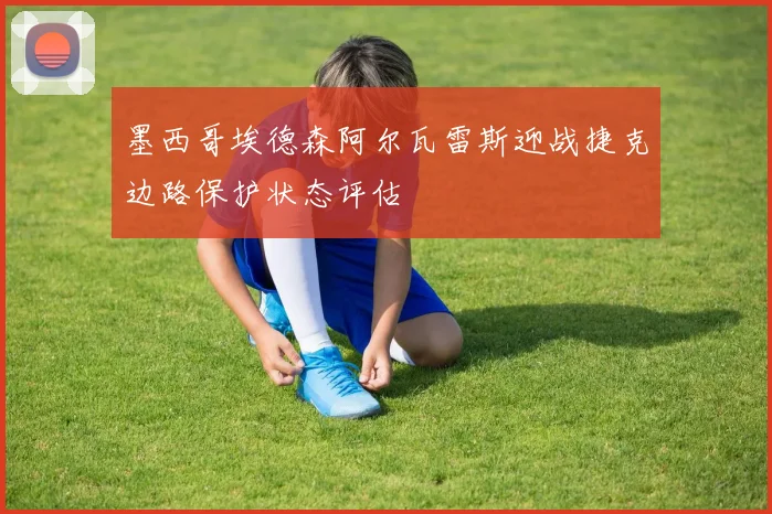 墨西哥埃德森阿尔瓦雷斯迎战捷克边路保护状态评估