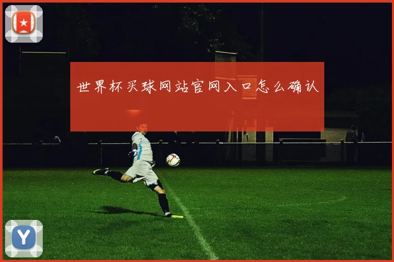 世界杯买球网站官网入口怎么确认