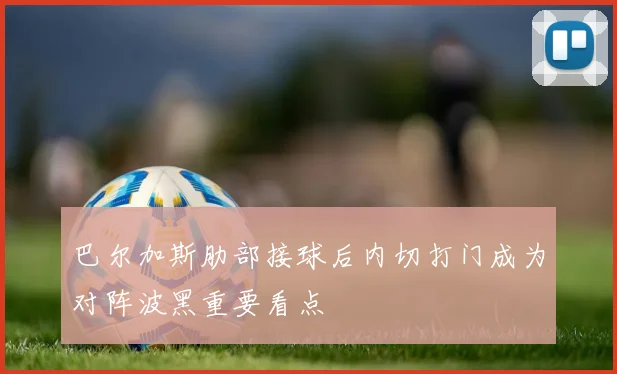 巴尔加斯肋部接球后内切打门成为对阵波黑重要看点